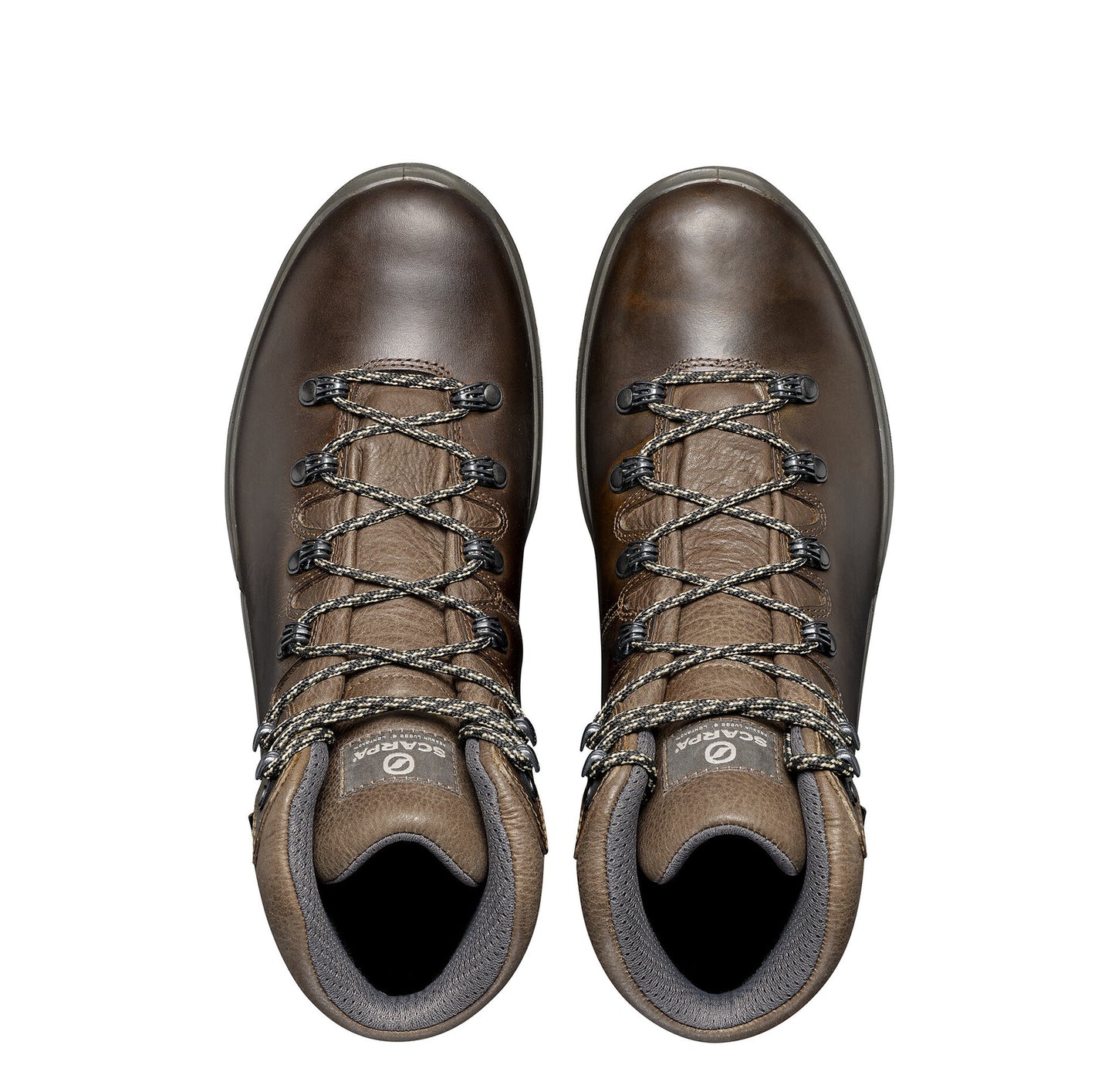Scarpa Terra GTX Brown