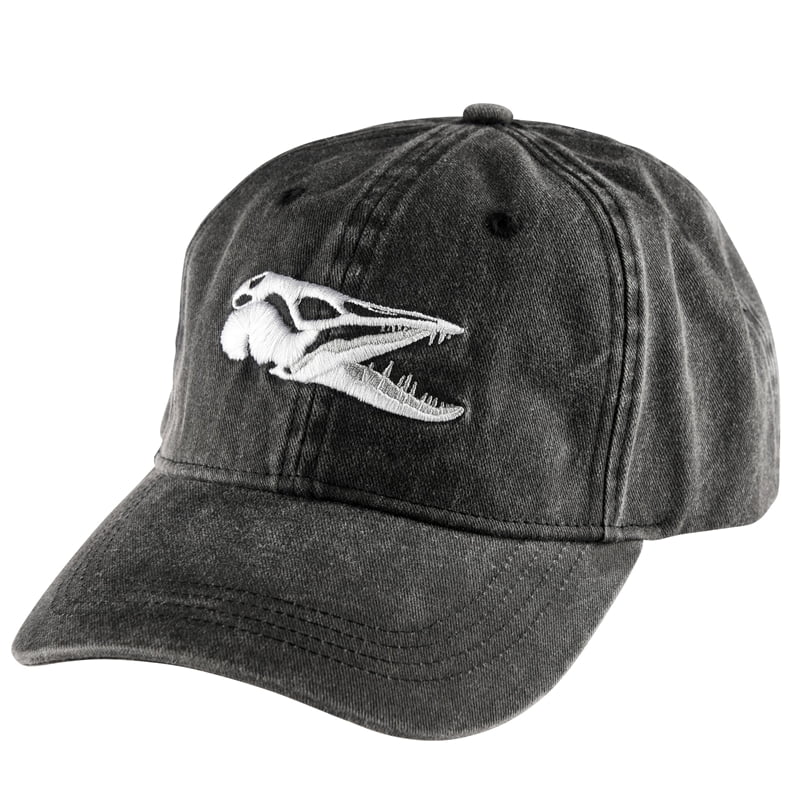 IFISH Scull Black