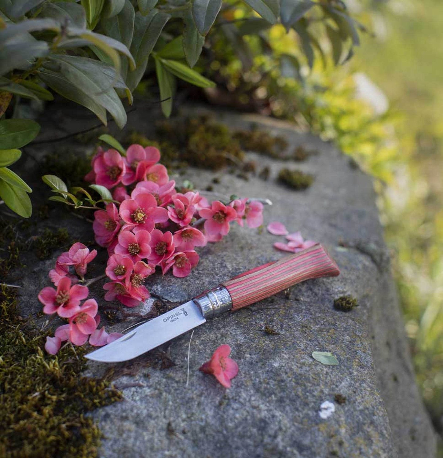 Opinel N08 Laminated Birch Red - NatureLife
