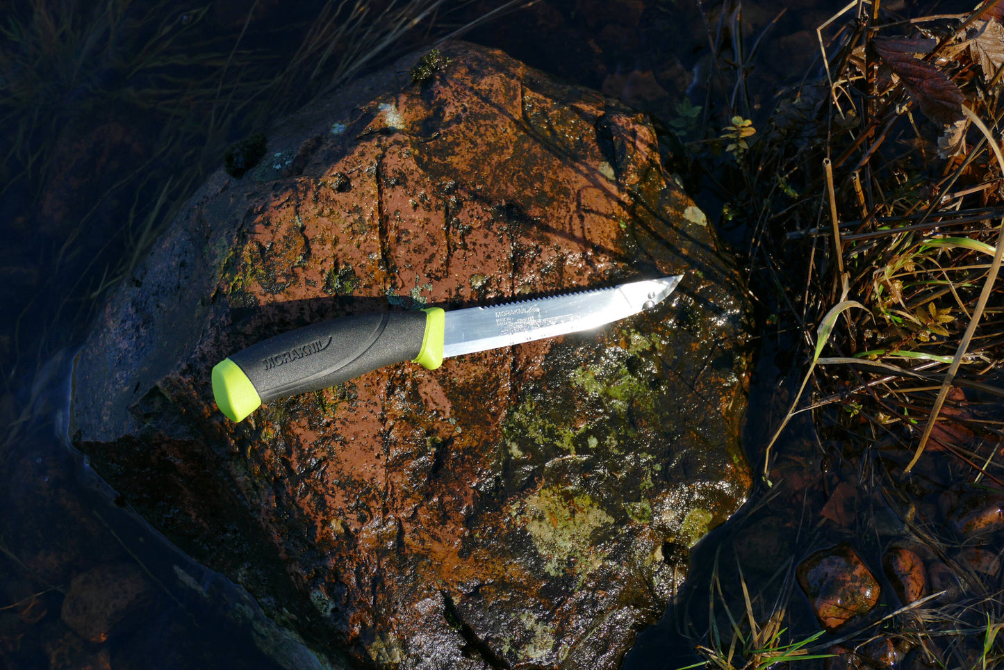 Morakniv Companion Fishing Scaler 150