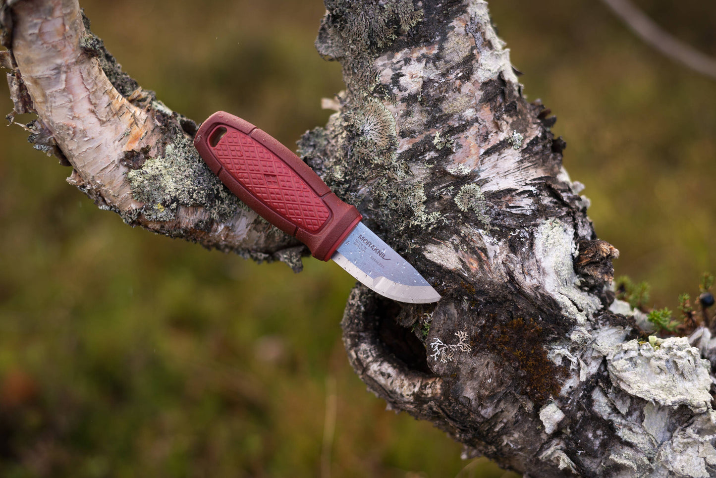Morakniv Eldris med Tändståls-kit Röd