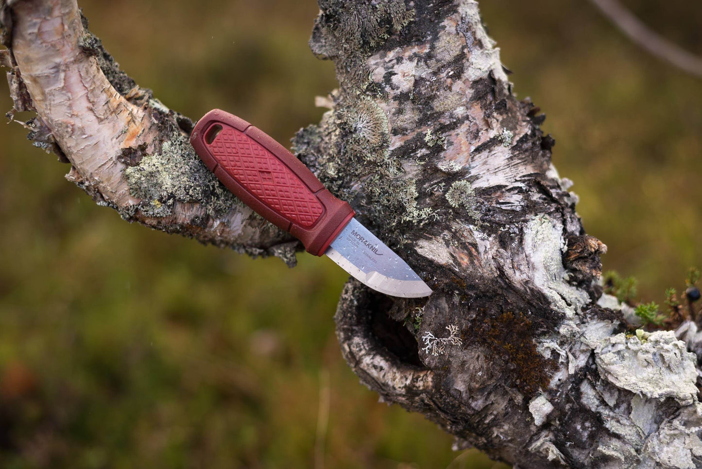 Morakniv Eldris med Tändståls-kit Röd - NatureLife