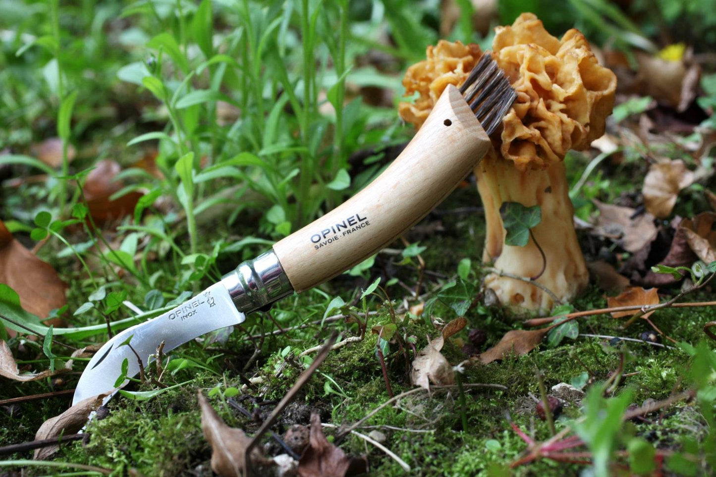 Opinel N08 Mushroom Oak + Sheath / Svampkniv & hölster - NatureLife