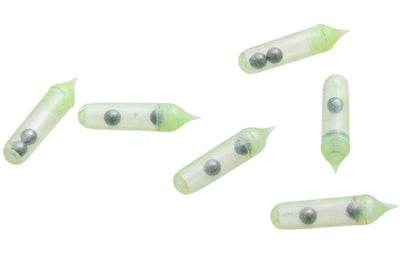 SvartZonker Rasselkammare 5-Pack Glow - NatureLife