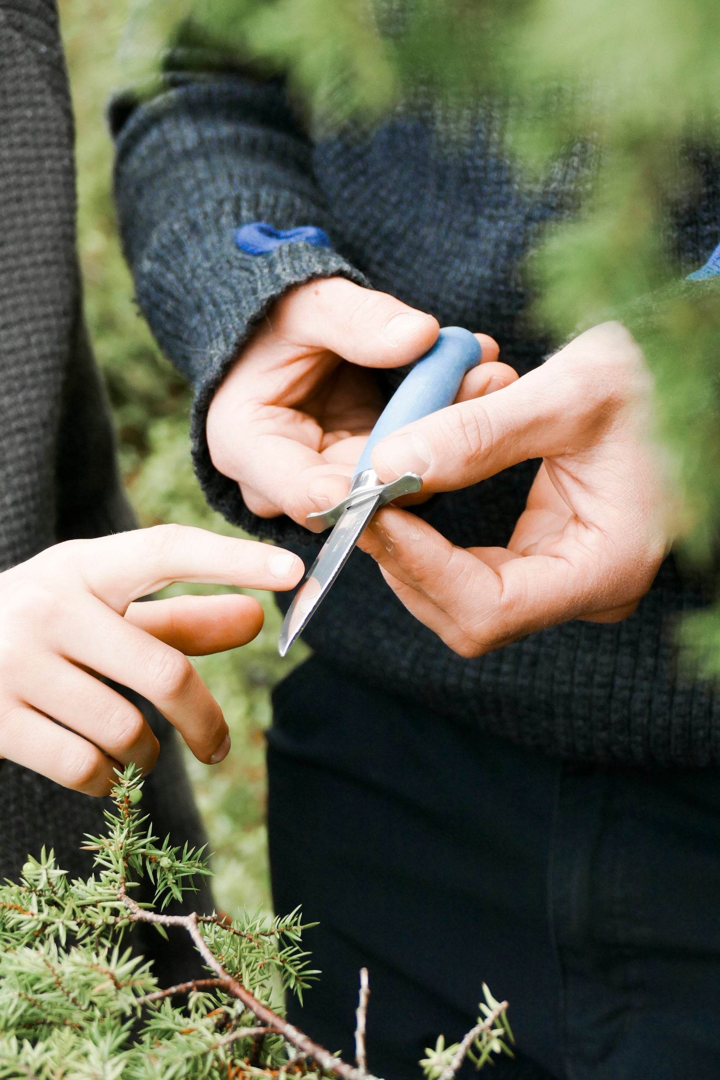 Morakniv Scout 39 Safe Blueberry - NatureLife