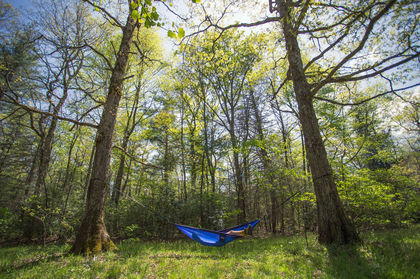 ENO Atlas XL Black/Royal