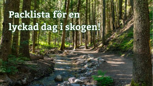 Packlista för en lyckad dagstur i skogen