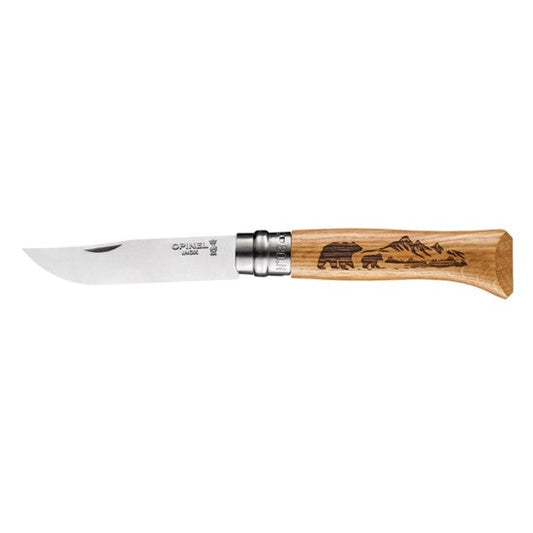 N08 Animalia America Bear