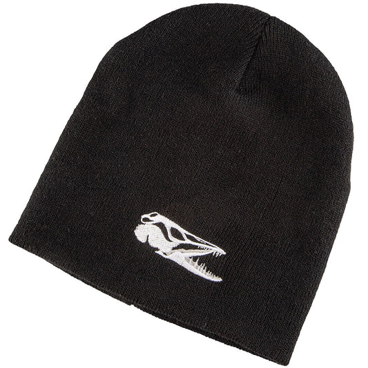 IFISH Beanie