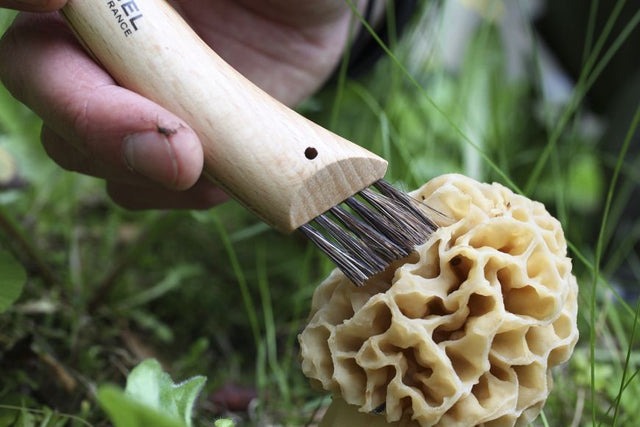 Opinel Blister N08 Mushroom Beech