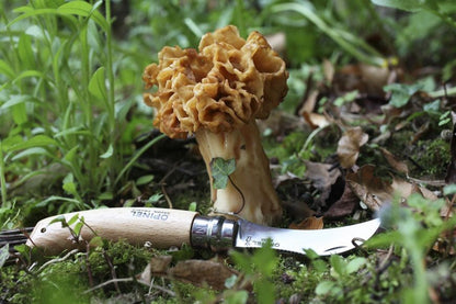 N08 Mushroom Beech Svampkniv
