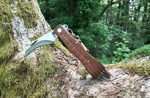 Svampkniv Med Borste