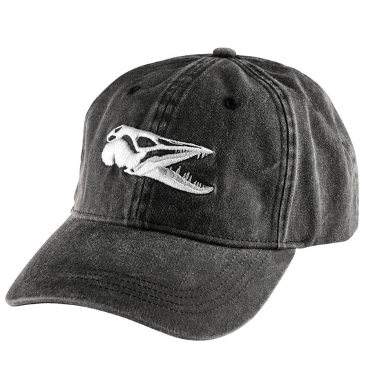 IFISH Scull Black