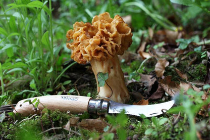 Opinel N08 Mushroom Oak + Sheath / Svampkniv & hölster - NatureLife