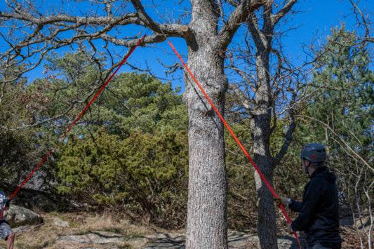 Nordic Pocket Saw Arborist V.2 - NatureLife