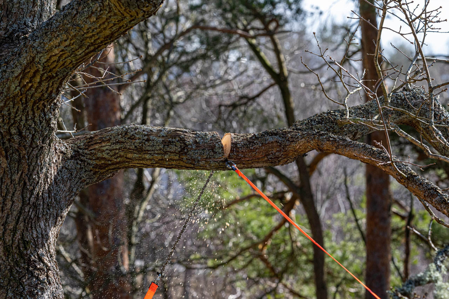 Nordic Pocket Saw Arborist V.2 - NatureLife