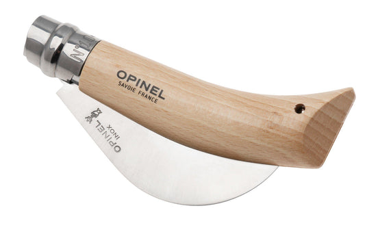 Blister N10 Pruning Grafting Beech