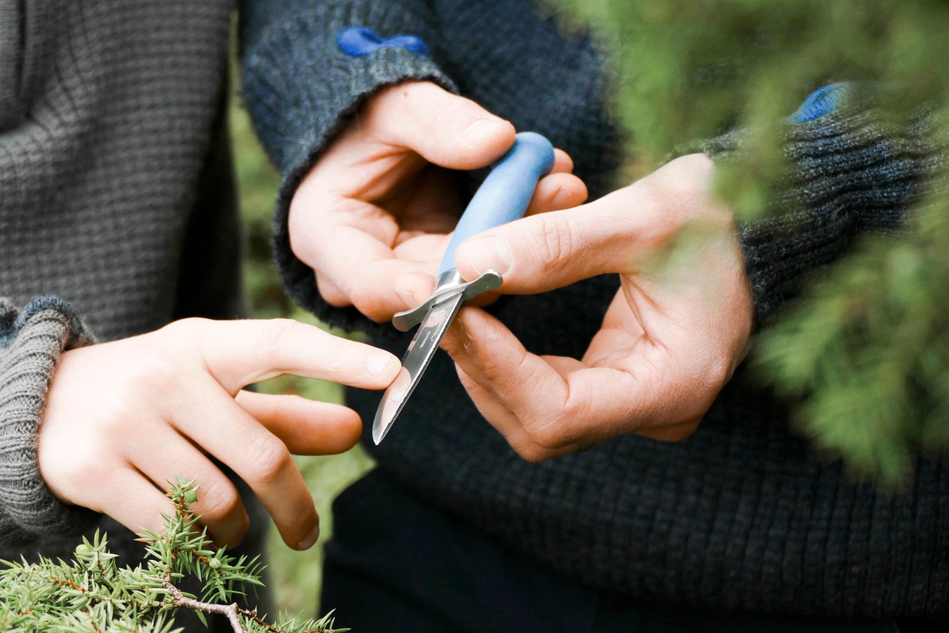 Morakniv Scout 39 Blueberry - NatureLife