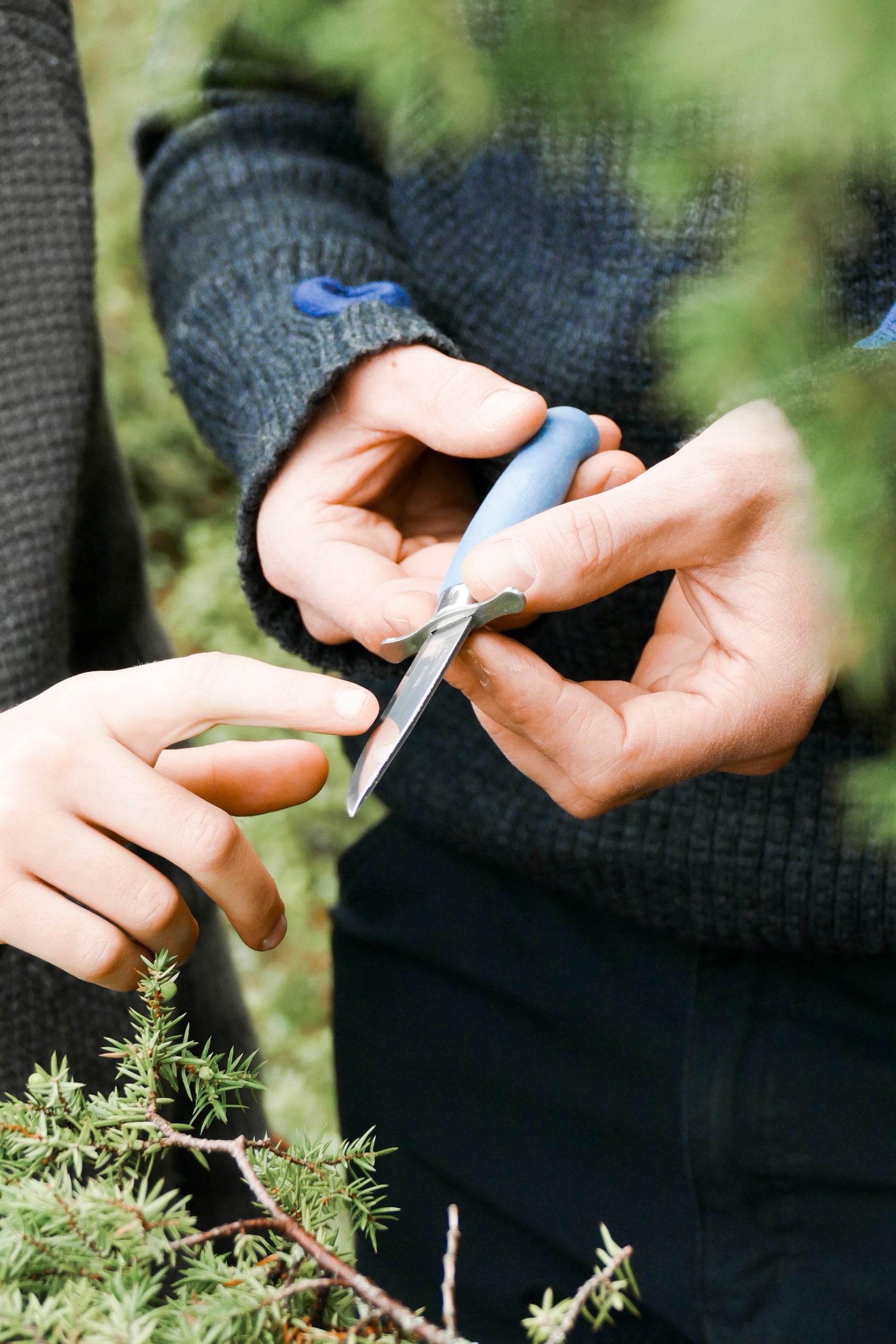 Morakniv Scout 39 Safe Blueberry - NatureLife