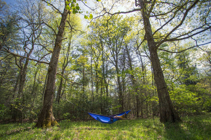 ENO Atlas XL Black/Royal