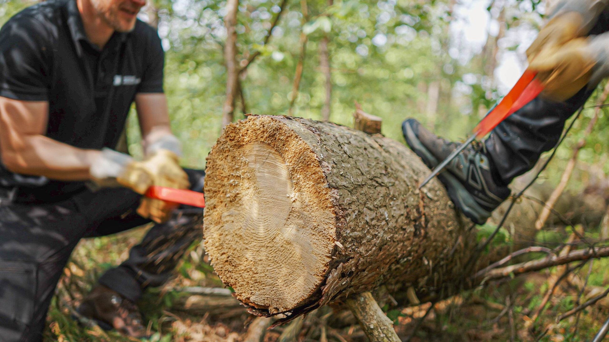 Nordic Pocket Saw X-Long - NatureLife