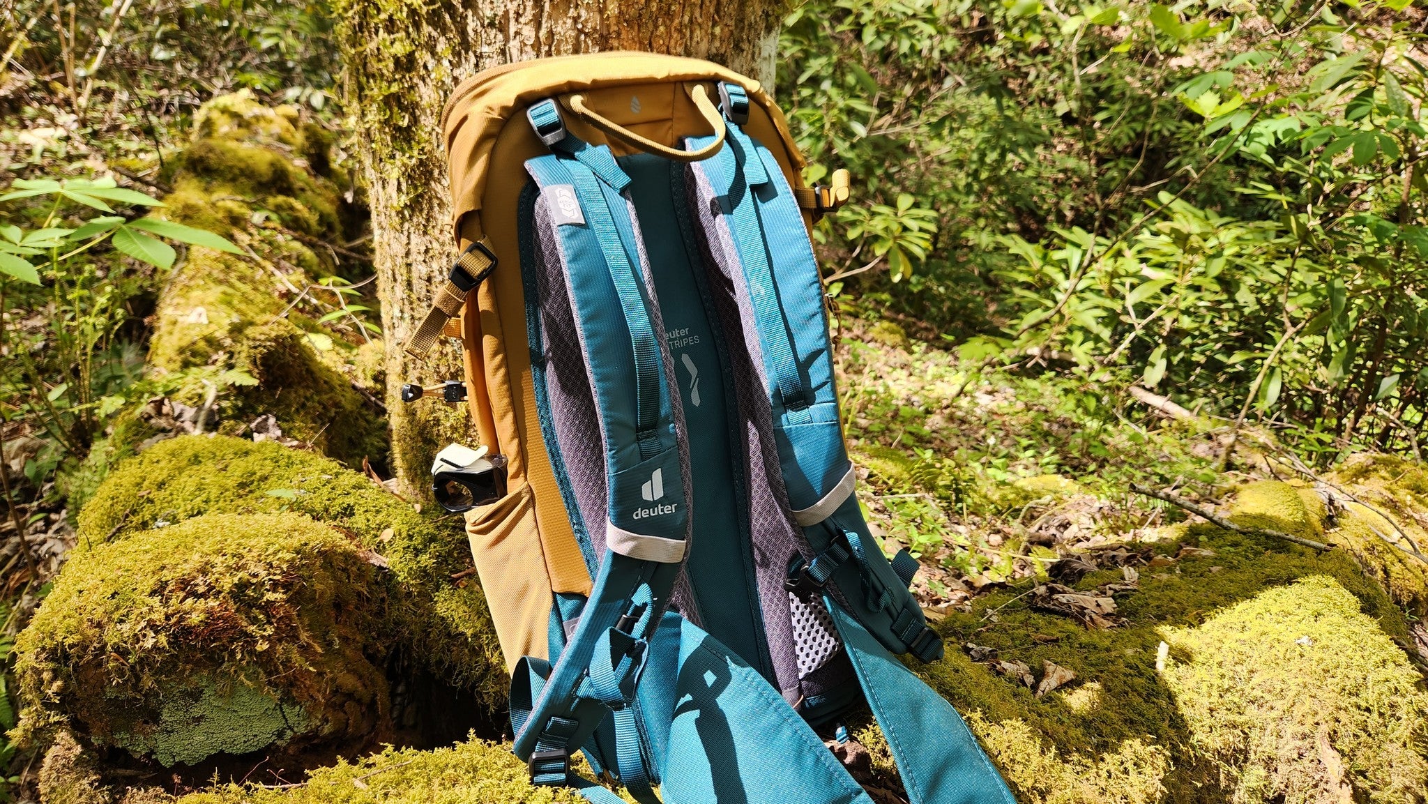 Deuter